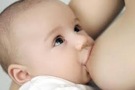 Alimentos indicados en la lactancia materna
