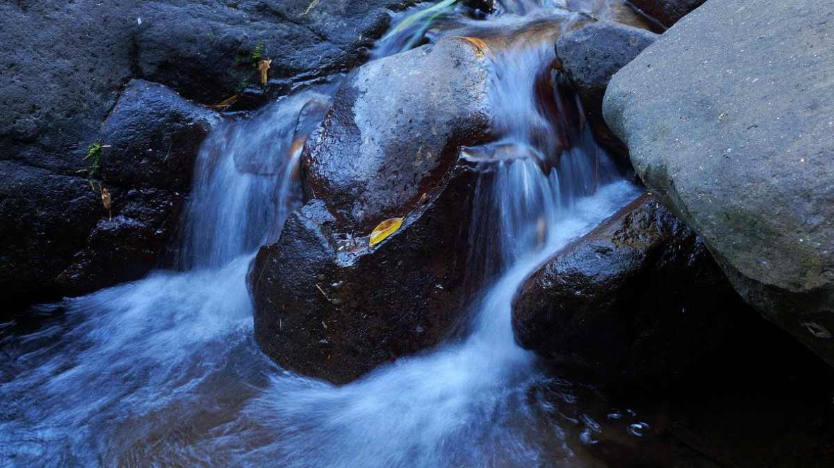 La importancia del agua en la naturaleza